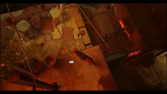 Где найти все ноты в Stray смотреть онлайн