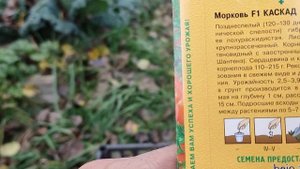 Морковь F1 КАСКАД..mp4