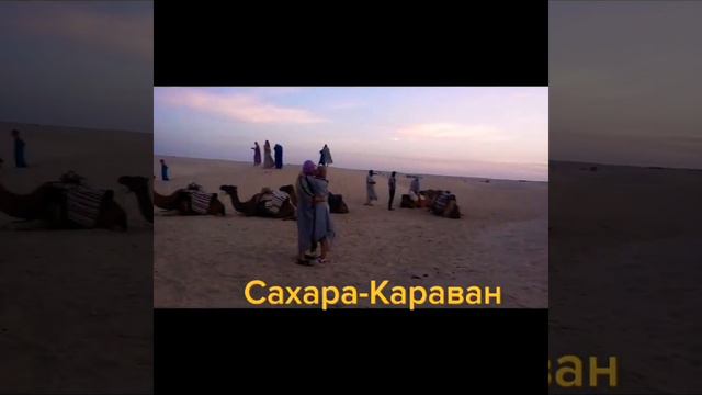 #Закат в пустыне #Сахара. #караван