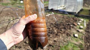 Сделайте это в июне на огороде в первую очередь! Что делать на огороде в июне?