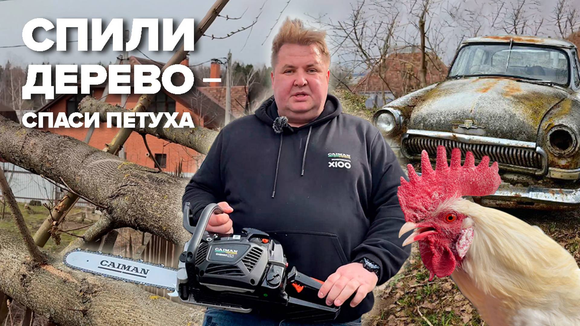 СПИЛИ ДЕРЕВО-СПАСИ ПЕТУХА! #бензопилавыбор#каквыбратьбензопилу #gardening #дачасадогород  #мотопила