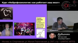 Вячеслав Дубынин: "Нейроны и нейросети"