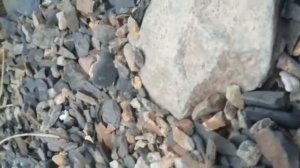 летающий камень