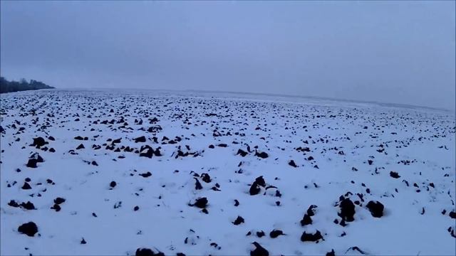 охота на зайца .первая в 2021 смотреть онлайн