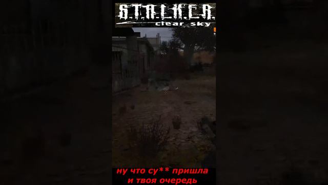 #shorts #S.T.A.L.K.E.R #НАРЕЗКА # ПРИКОЛ # ну что су** пришла и твоя очередь