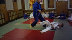 Дзюдо. 11.3 урок: "Защита от прямых ударов ногами"