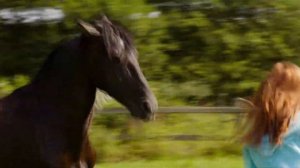 Steve Vai - Bad horsie,Восточный ветер - Ostwind