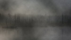 Футаж. Осенний пейзаж 24  Footage. Autumn landscape 24