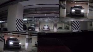 MTF Light VANADIUM H7 5000K 12V 55W