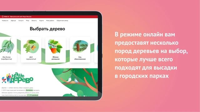 Проект «Наше дерево»