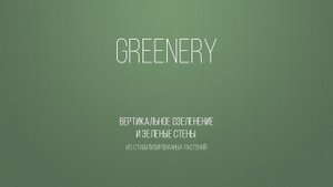 Вертикальное озеленение стабилизированным мхом mygreenery ru
