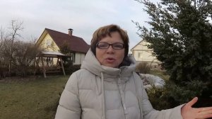 Какие растения лучше продаются в питомнике.