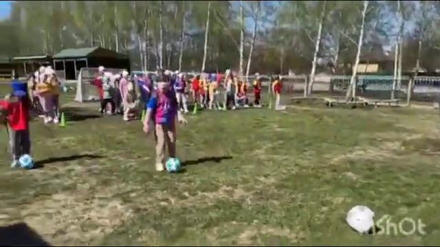 Итоговый отчёт по фестивалю "Футбол в школе" - 23. ДОУ 166 г. Чебоксары #футболвшколе