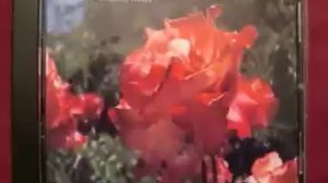 Caprice #19 for solo violin by Pierre Rode (1774-1830)