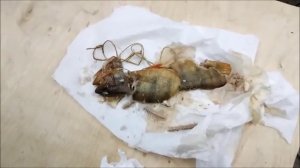 Окунь горячего копчения