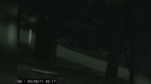 СУЩЕСТВ ЗАСНЯЛИ НА КАМЕРУ! Кто Такие Ночные Ползуны или Пришельцы Фресно