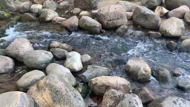 Влог из Санкт- Петербурга 2023?| Я В ПИТЕРЕ| Встретила популярных блогеров ?? смотреть онлайн