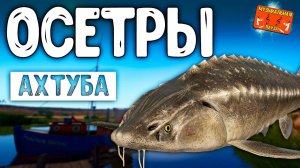 РР4/ рыбалка для души, ловим как универсал, общаемся 29.01.24