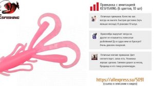 Приманка для рыбы на спиннинг. ТОП-5 силиконовых приманок для разных видов рыб.