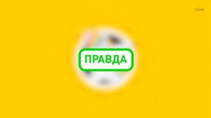 Красные жуки в вашем фраппучино: миф или правда?