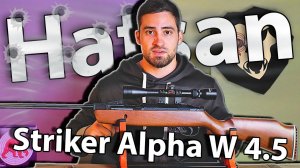 Hatsan Striker Alpha W 4.5 мм (3 Дж, дерево) видео обзор
