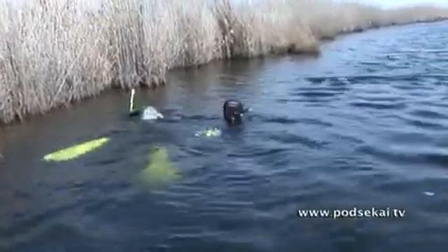 Охота на судака смотреть онлайн