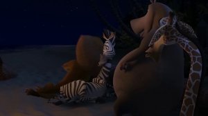 Зебра Вырубила Льва с Одного Удара - Самые Невероятные Битвы Животных