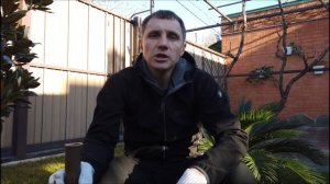 Посадка Крокусов на газоне!