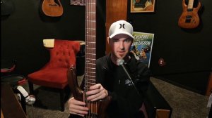 Washburn Taurus T25