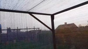 II. Обзор клубневых бегоний.