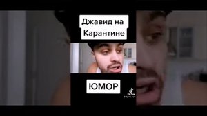 джавид на карантине