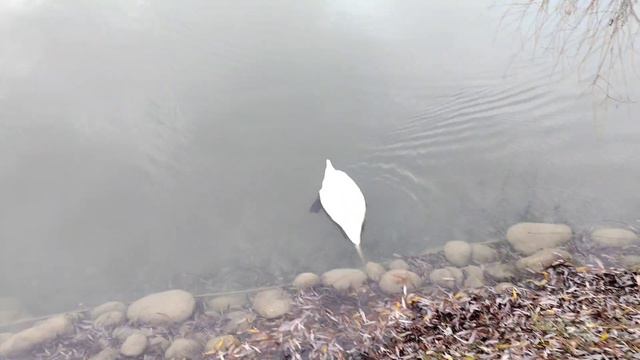 Чегемские водопады и замок Шато Эркен  8 декабря 2023 года
