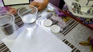 Стратификация семян Венериной Мухоловки. Dionaea muscipula.