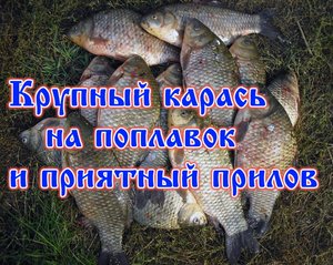 Крупный карась на поплавок и приятный прилов.mp4