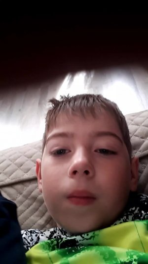 розыск кошки