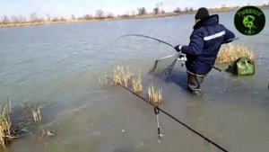 НОВЫЙ РЕКОРД . СОМ 30 КГ. НА БОЙЛЫ.