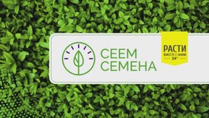 Зеленый офис с экспертом СЕЕМ СЕМЕНА Полиной Сапожниковой
