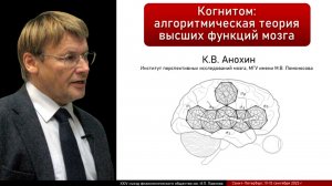 Когнитом: алгоритмическая теория высших функций мозга. Константин Анохин