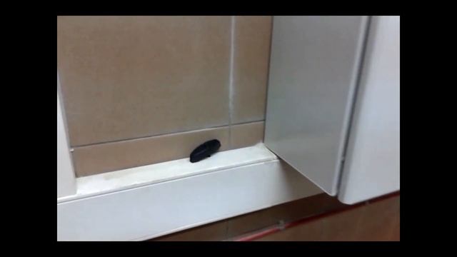 Лифт WIWRA Польша смотреть онлайн