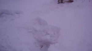 Приспособление для уборки снега