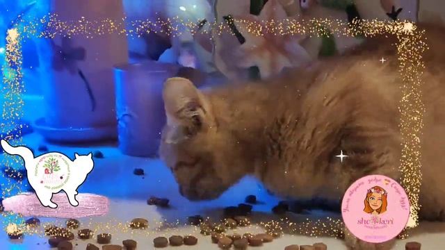 ? Кто это у нас тут? смотреть онлайн