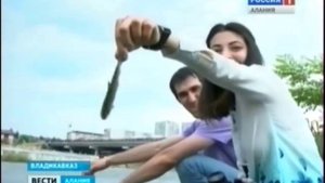 В Терек выпустили 10 тысяч мальков каспийского лосося