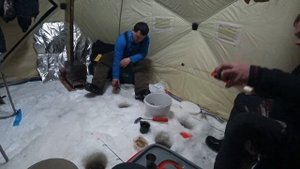 Рыбалка на Вейге.Пурнема.Белое море?.Навага ?