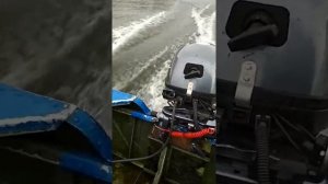 Sea pro f 9.9s new