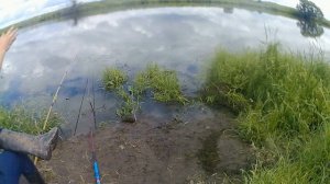 Рыбалка на Карася в Приморском крае 11.08.18