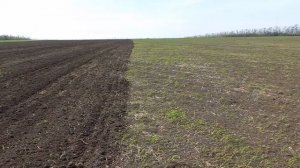 культивация предпосевным культиватором  КБМ -8 "Ярославич" 2023 год