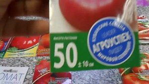 Томаты низкорослые, детерминантного типа, крупноплодные