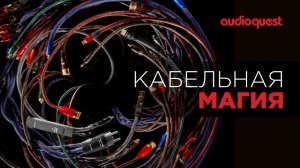 AudioQuest - базовые принципы создания качественного кабеля