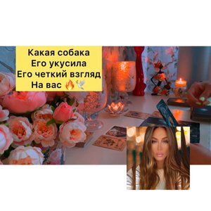 КАКАЯ СОБАКА ЕГО УКУСИЛА/ЕГО ЧЕТКИЙ ВЗГЛЯД НА ВАС СЕЙЧАС??