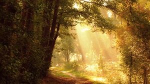 Волшебная Арфа, успокаивающая мелодия и музыка радости